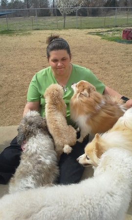 Images Kamp K9 Pet Resort and Spa
