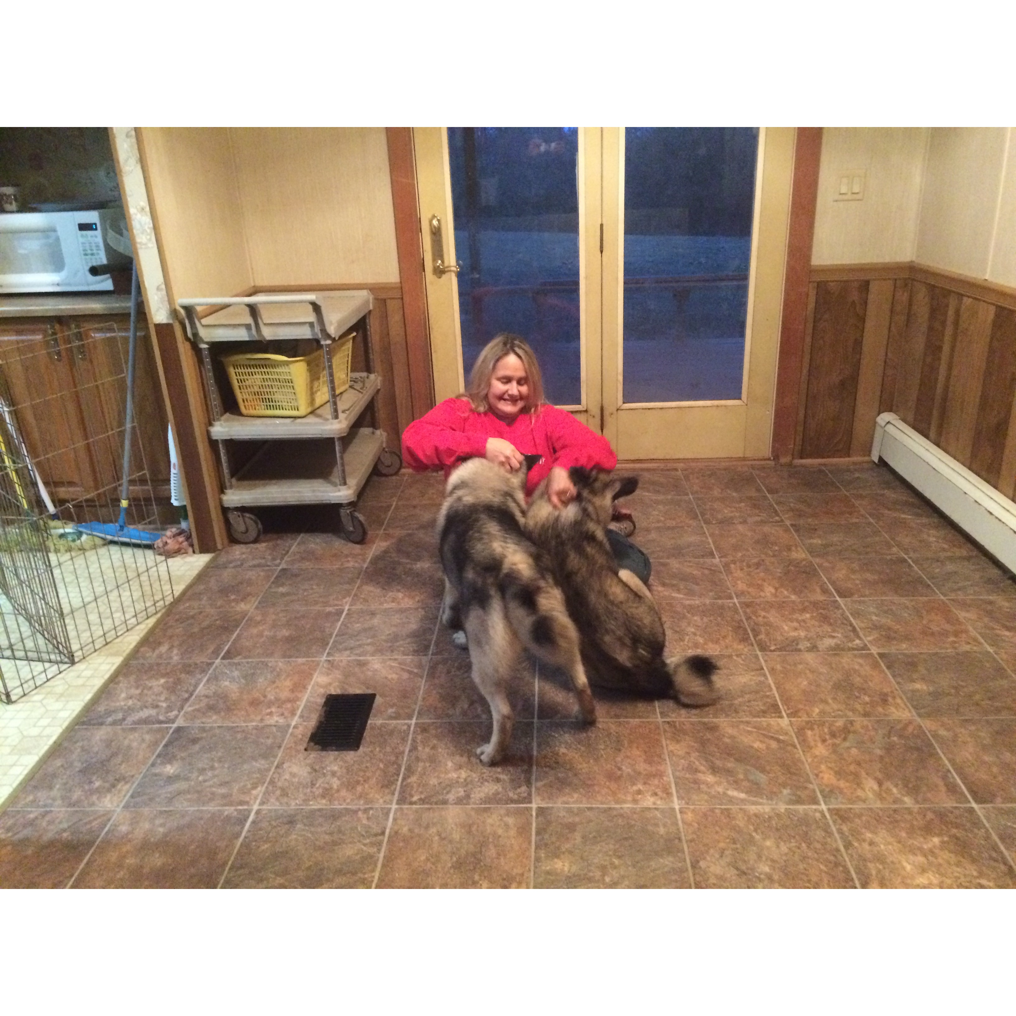 Meows &amp; Growls Pet Sitting Service LLC Logo