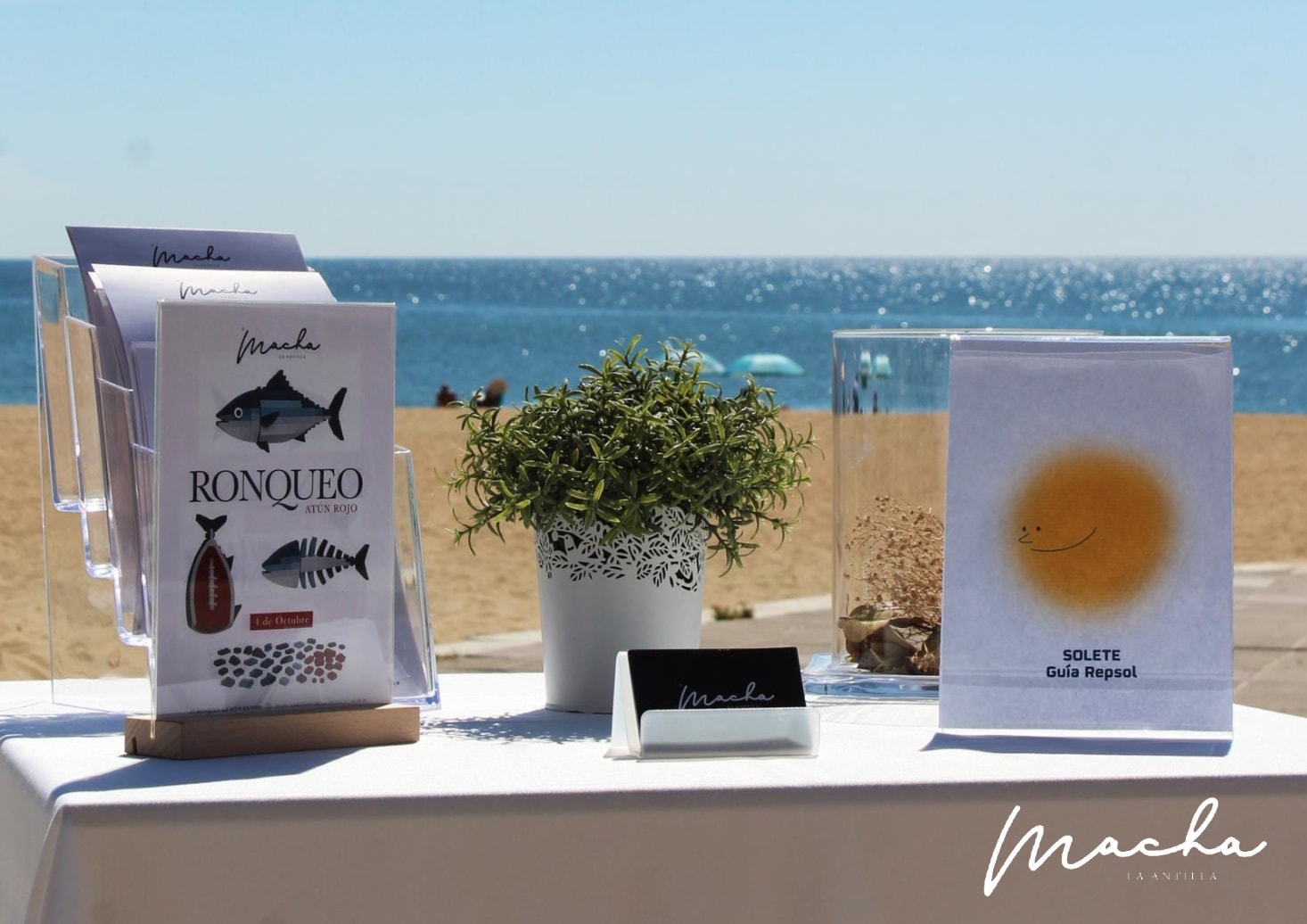 Galería en miniatura