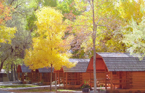 Billings KOA Holiday Photo