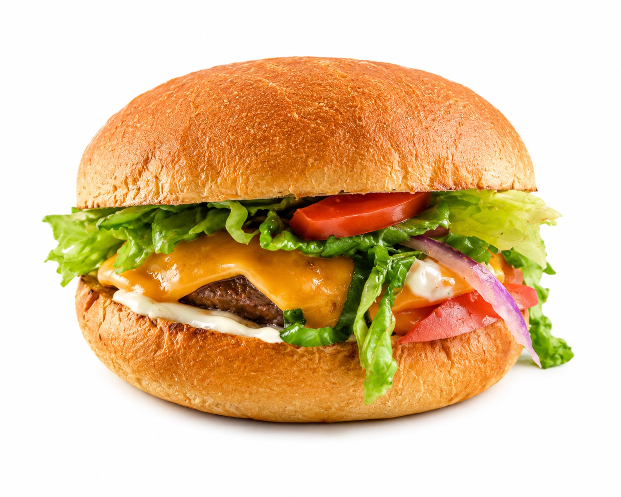 Vegan Burger