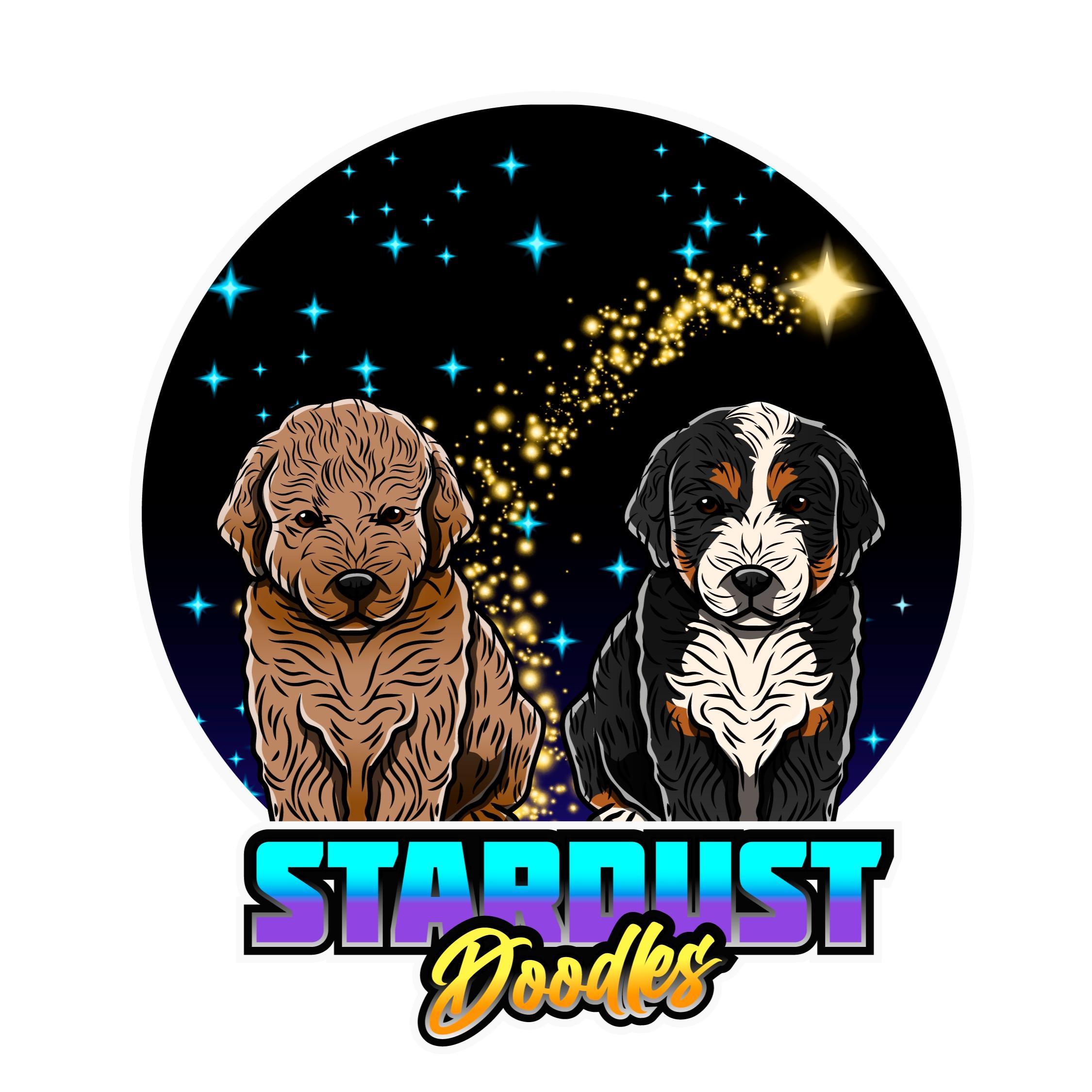 Stardust Doodles Logo