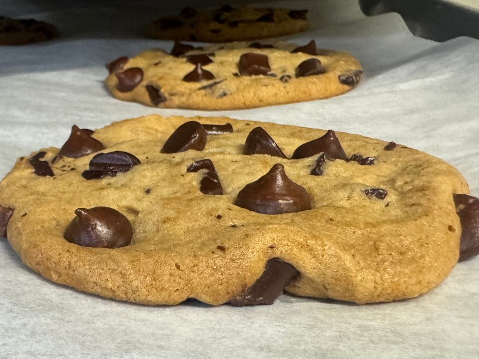 Double Chocolate Chunk Cookie