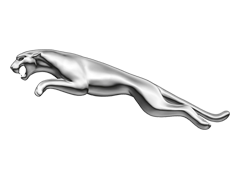 Jaguar Repair