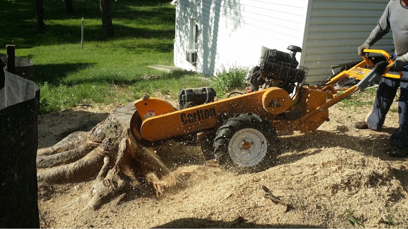 Branson's Tree Service Image