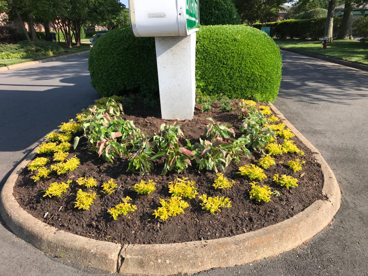 Botanical Landscape Management Photo