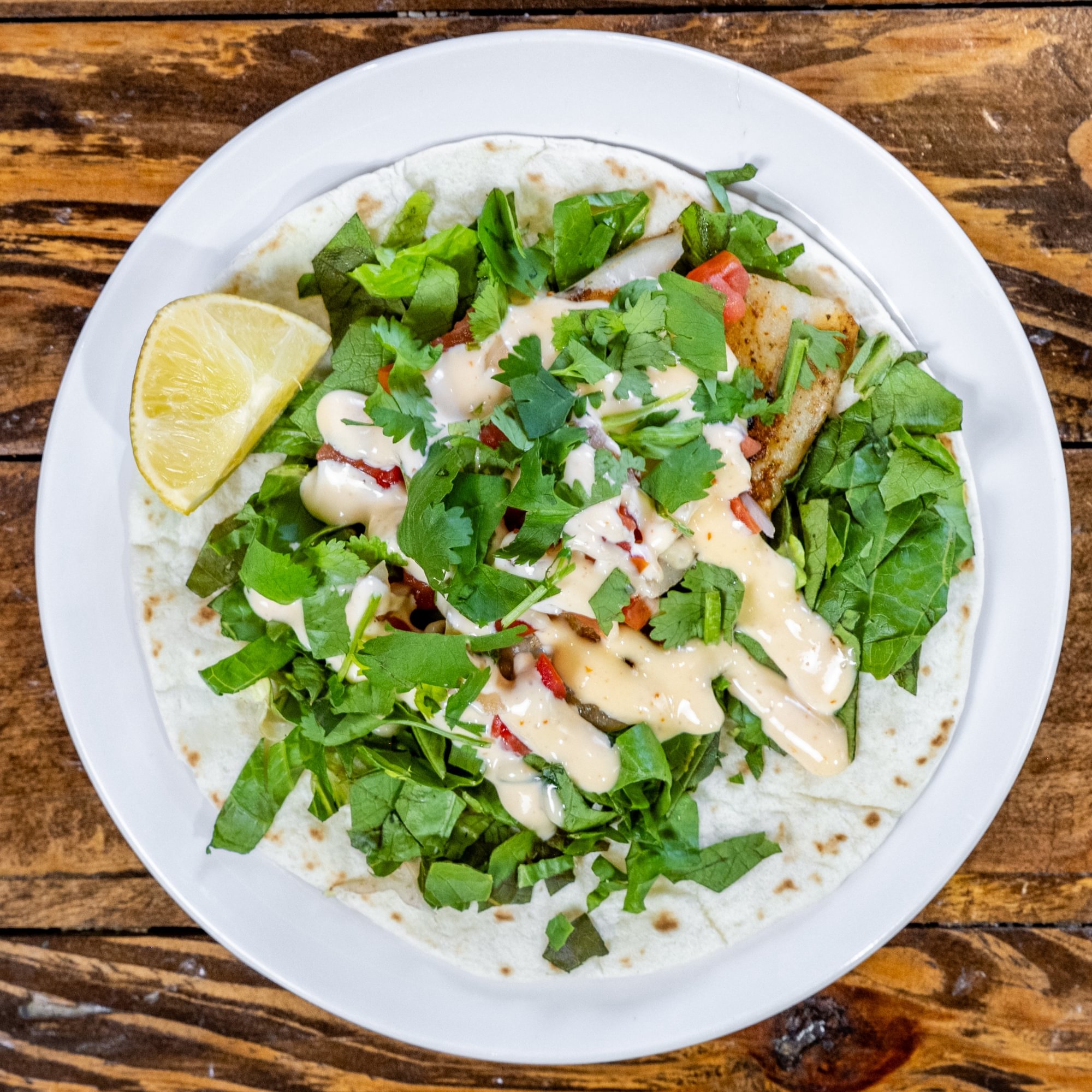 The Fish Taco – Fish Taco Fort Collins