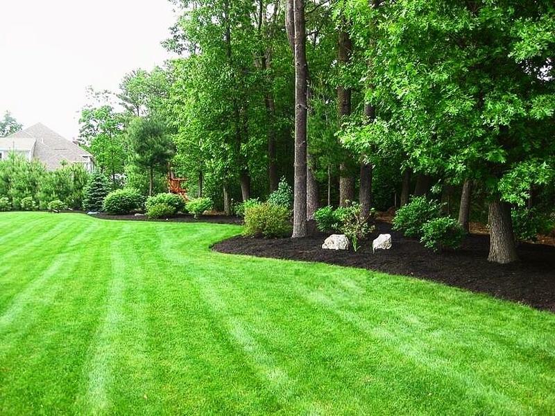 Morahan Brothers Landscaping Photo