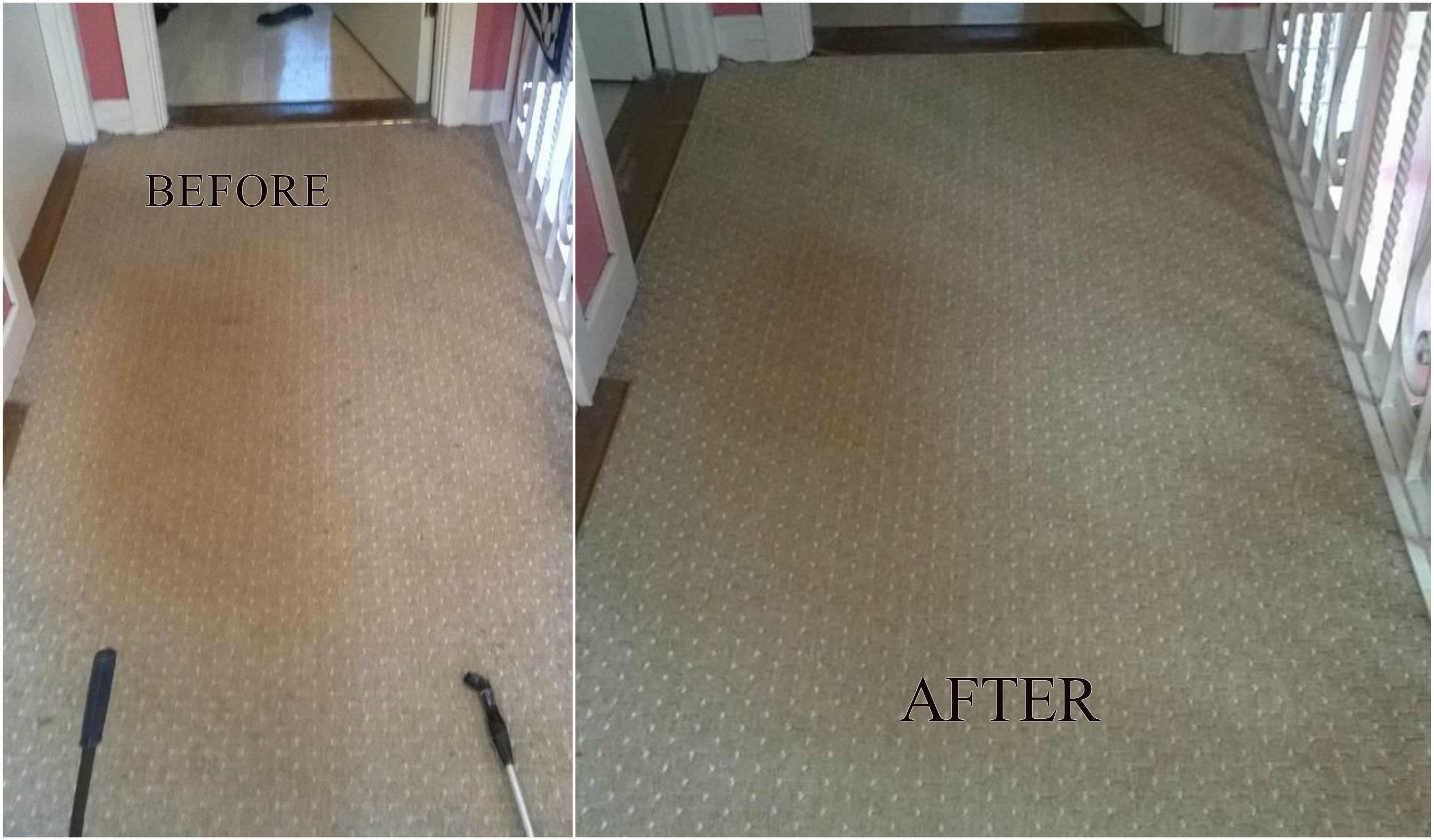LS Property Management, Carpet Cleaning, Dublin