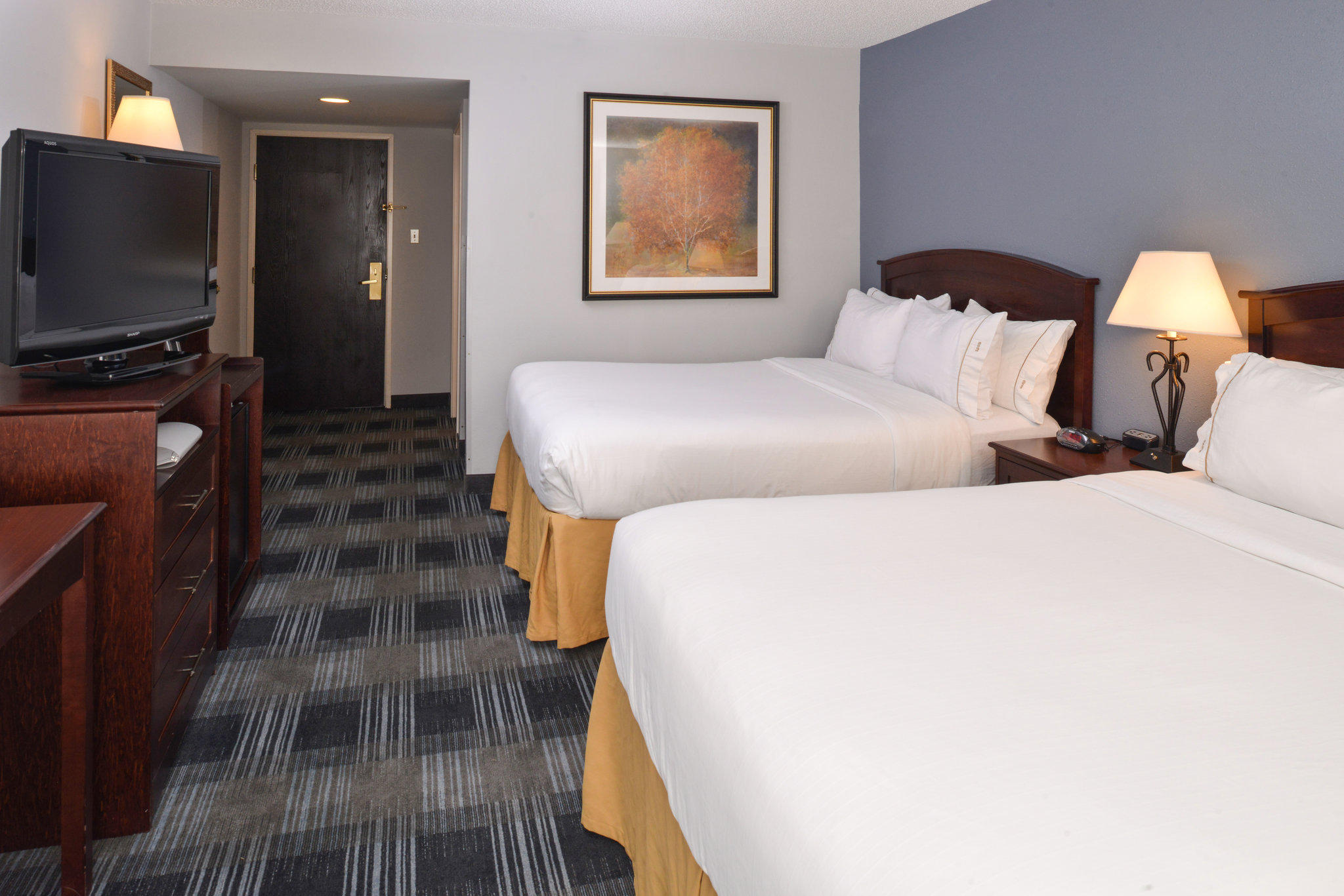 Holiday Inn Express la Junta Photo