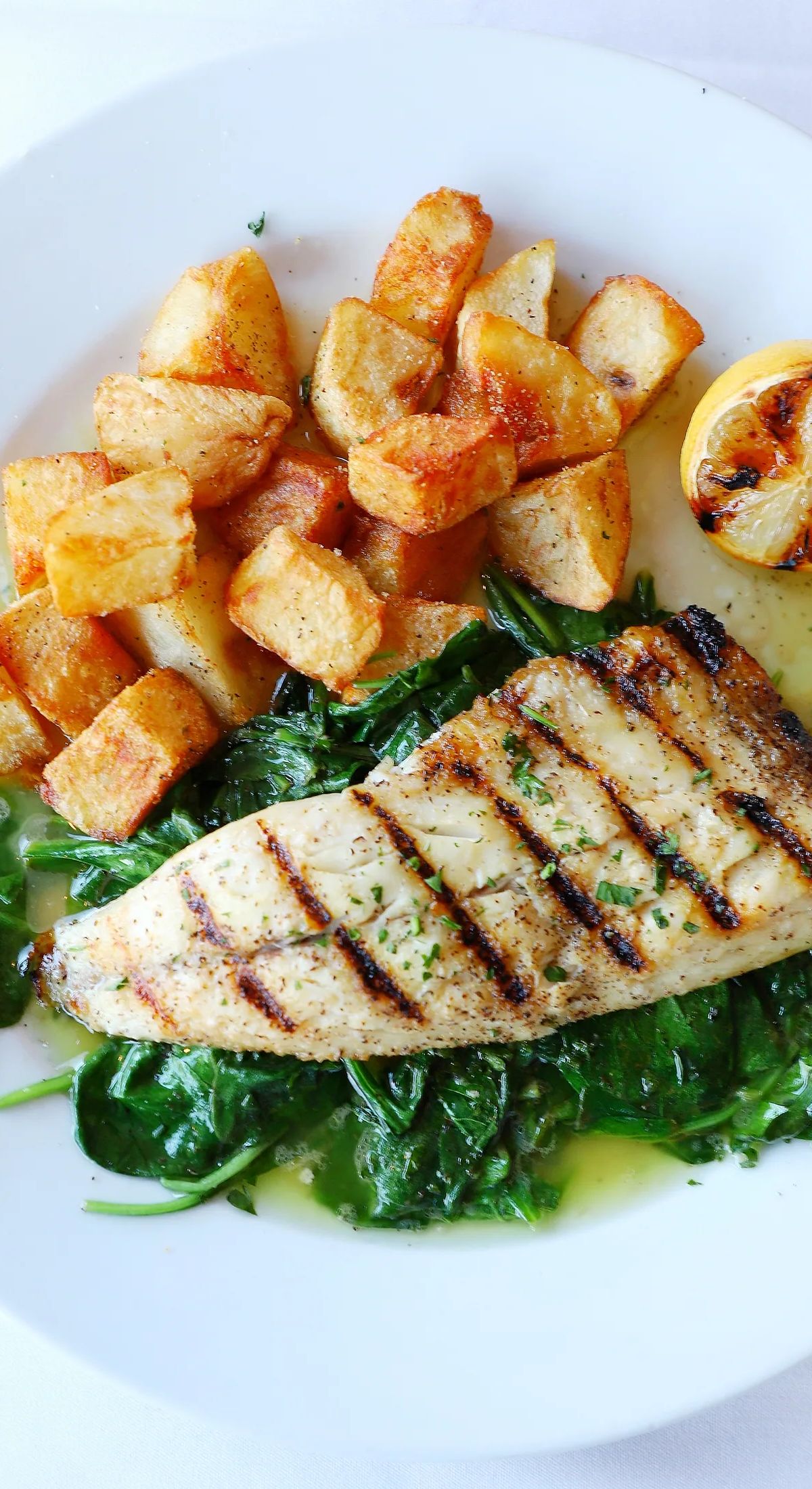 Sea Bass
