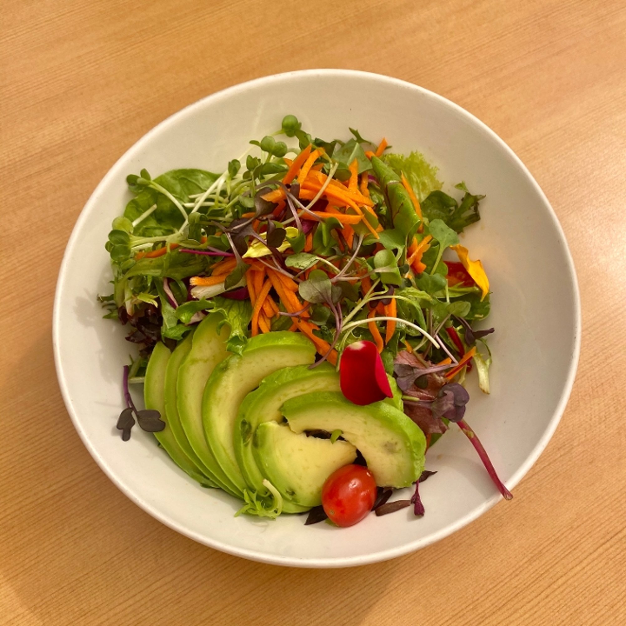 Spring Salad (v)