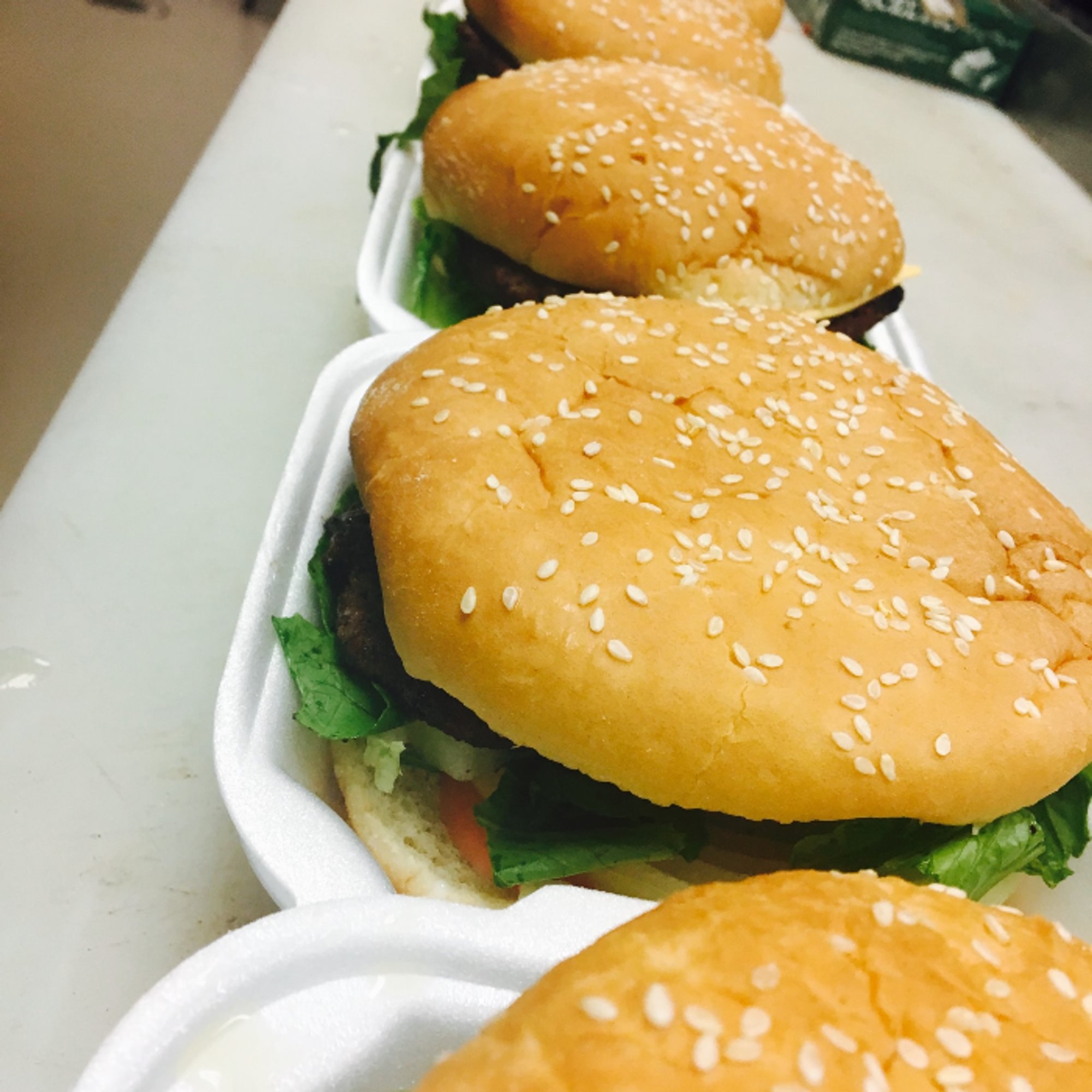 Hamburger w/ Fries