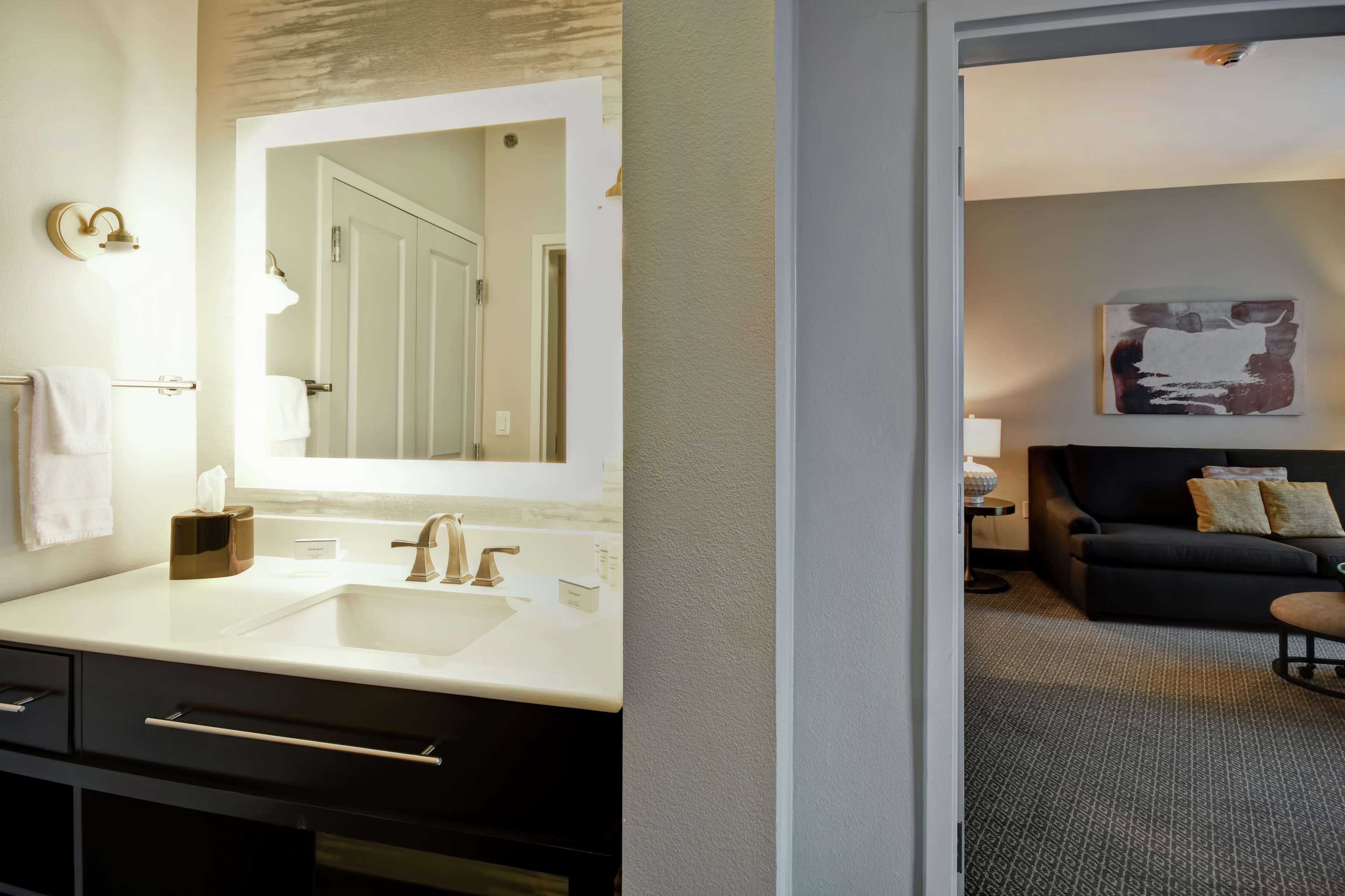 Homewood Suites by Hilton Dallas/Arlington South Photo