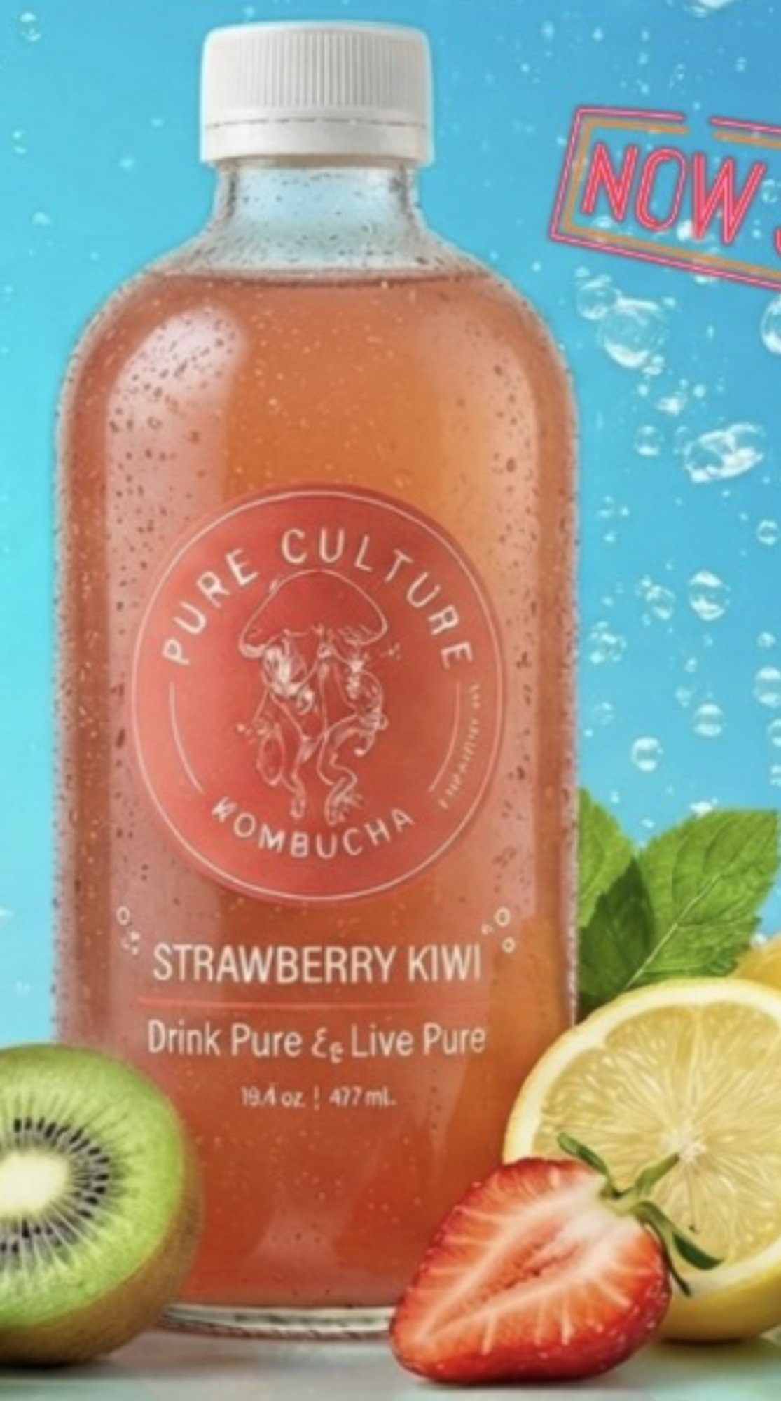 Pure Culture Kombucha