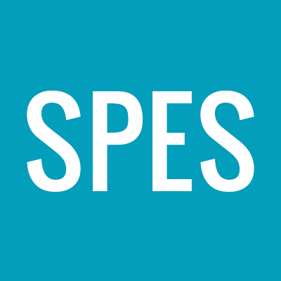 Steve Patterson Electrical Ser Logo