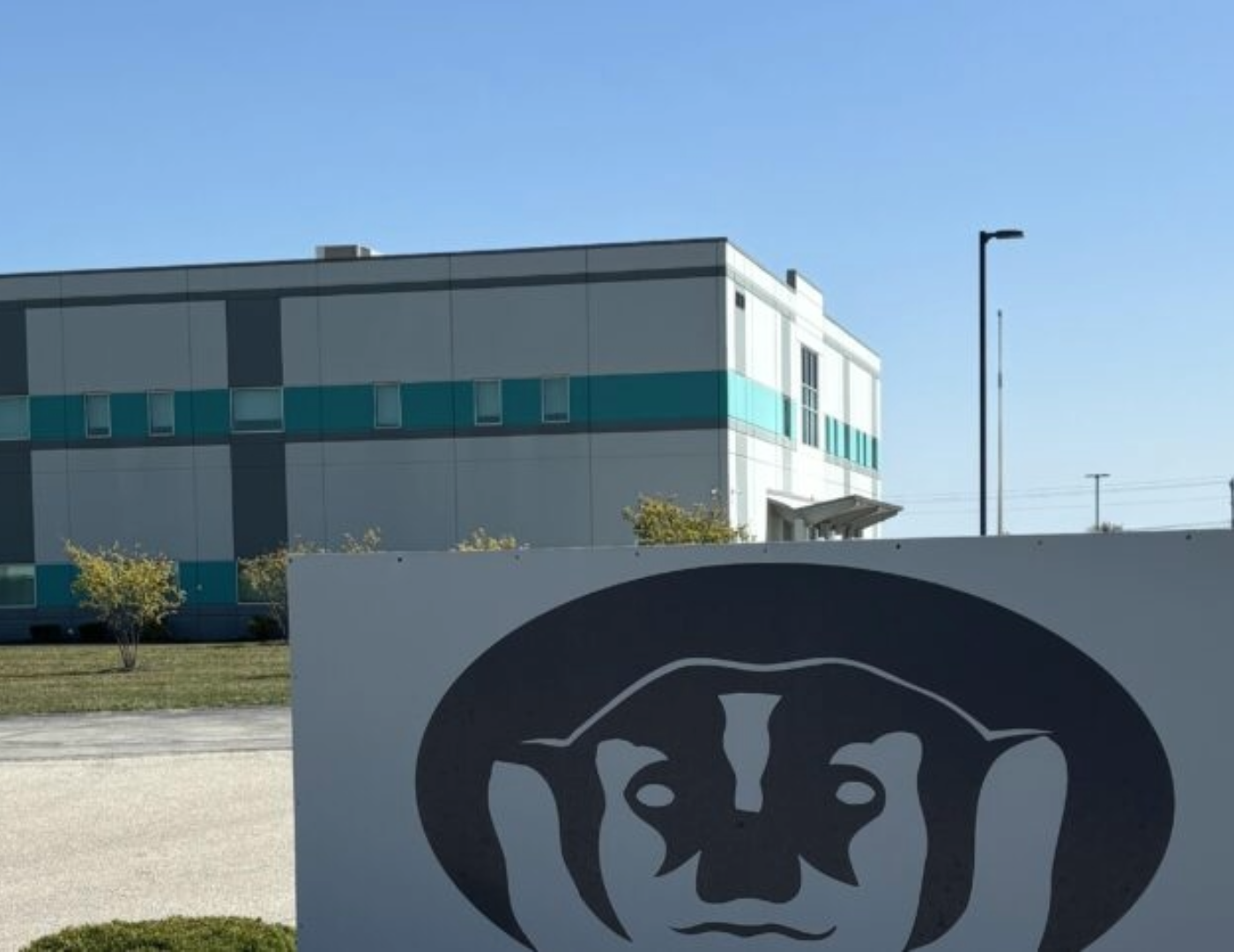 Integrity in Blue Painting Image