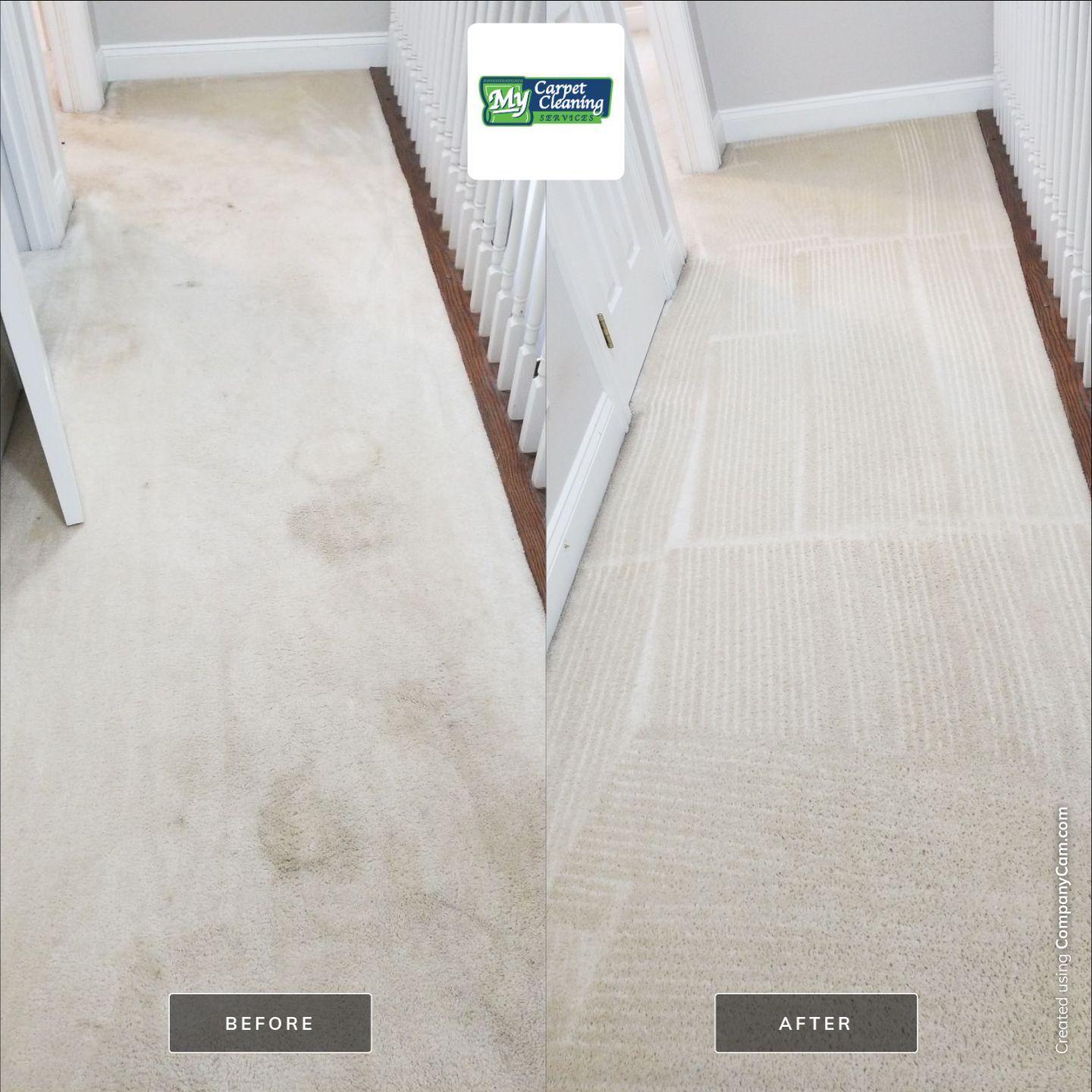 My Carpet Cleaning & Restoration Service Image