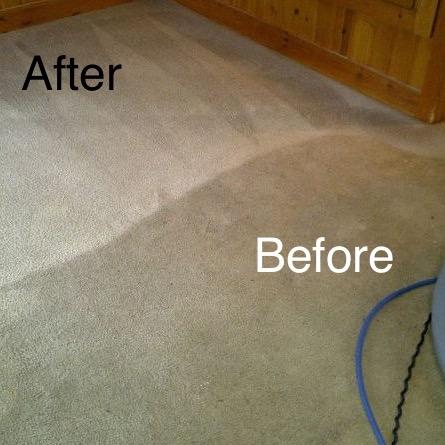 Bulldog Carpet Cleaning Photo