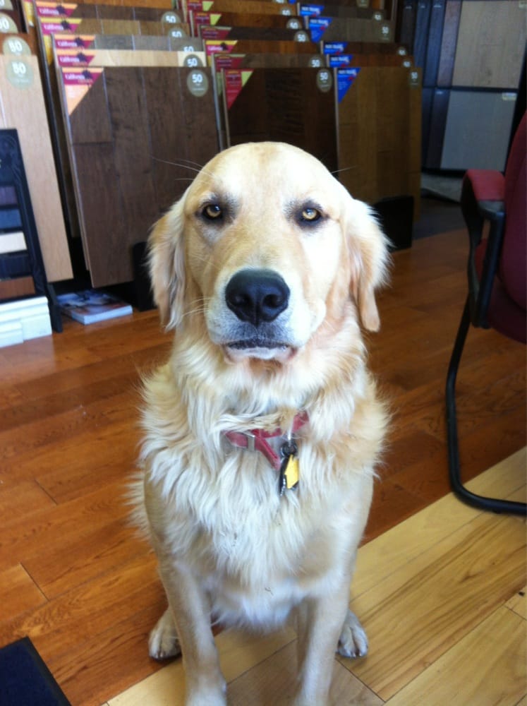 All Hardwood Floors Logo