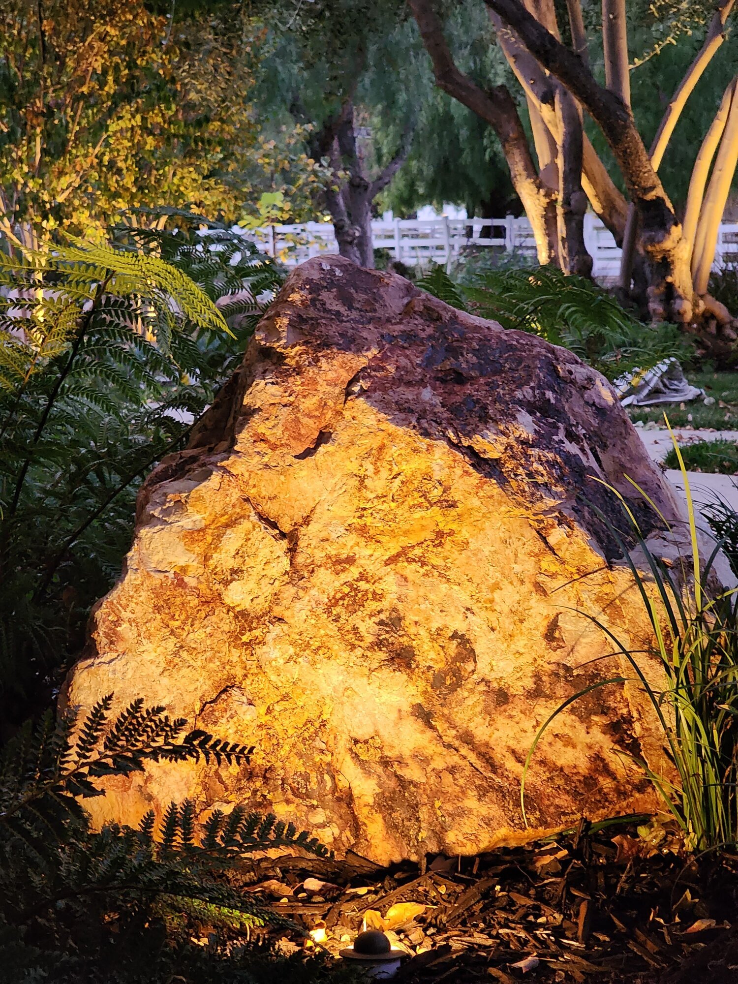 Robinson Environmental Design Image