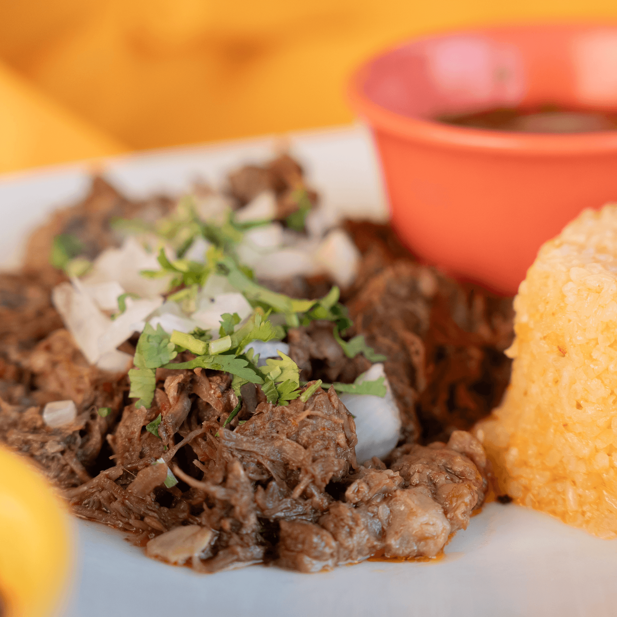 Birria of the House