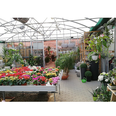 Gallery thumbnail