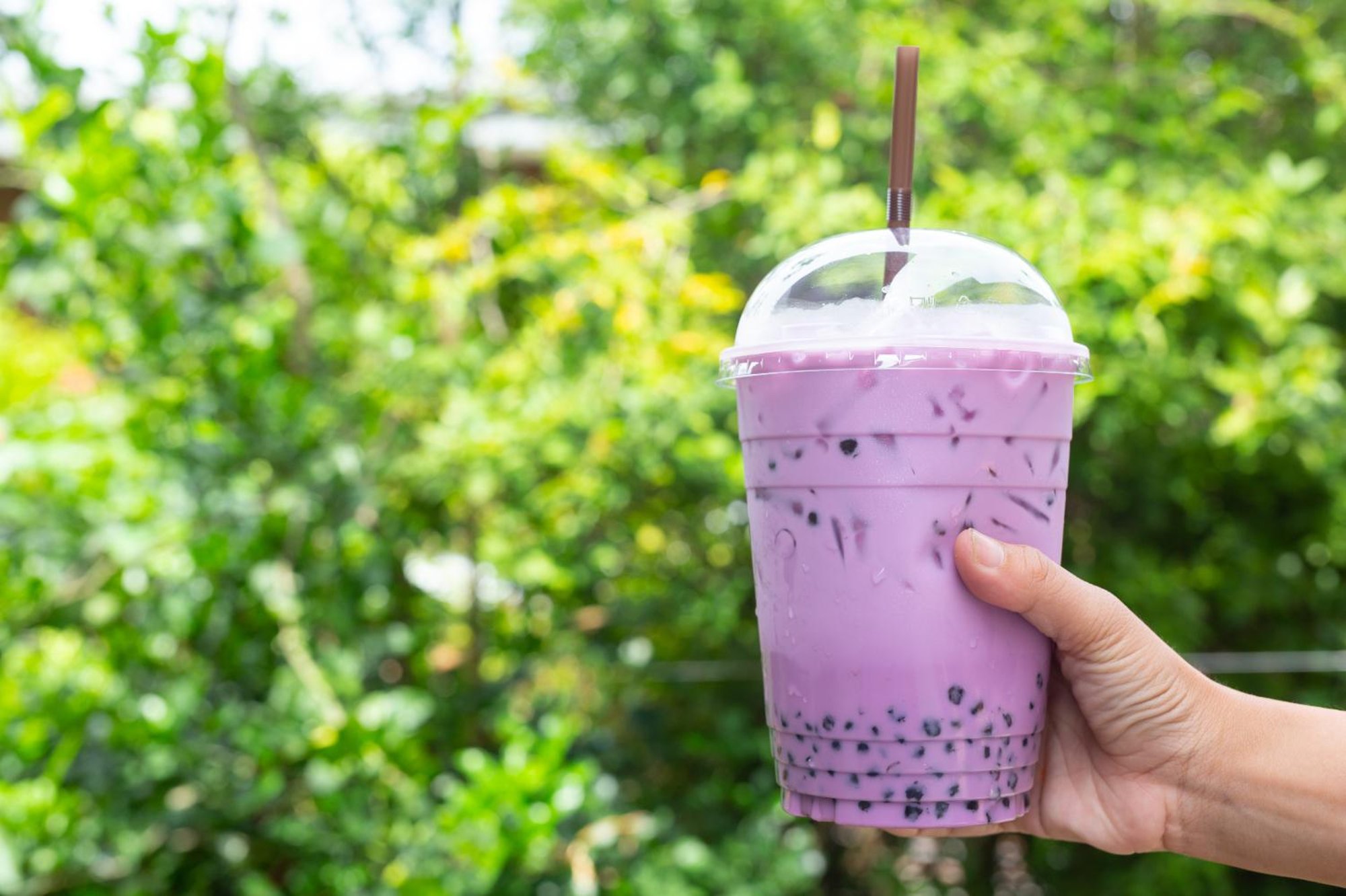 Taro Boba Tea