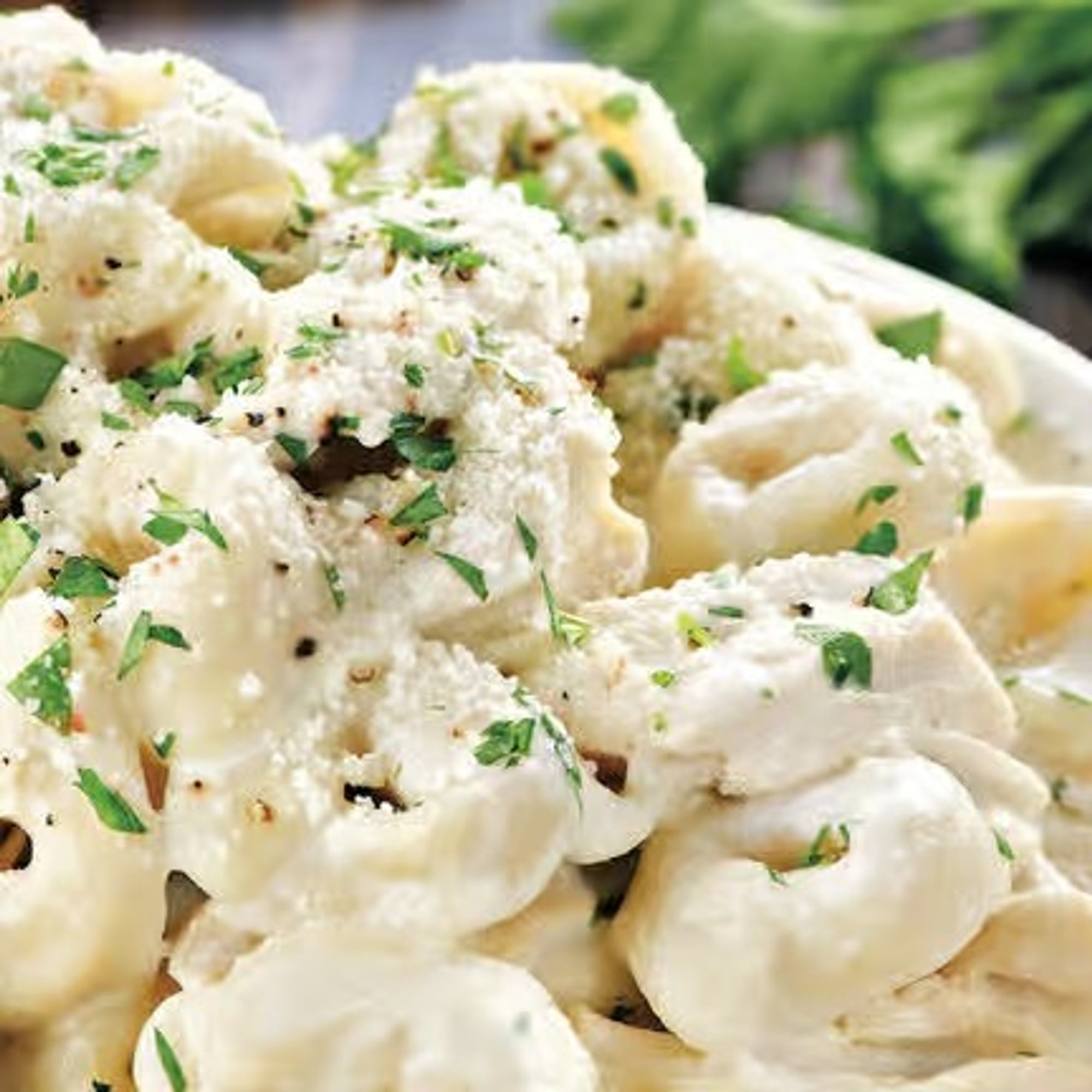 Tortellini Alfredo