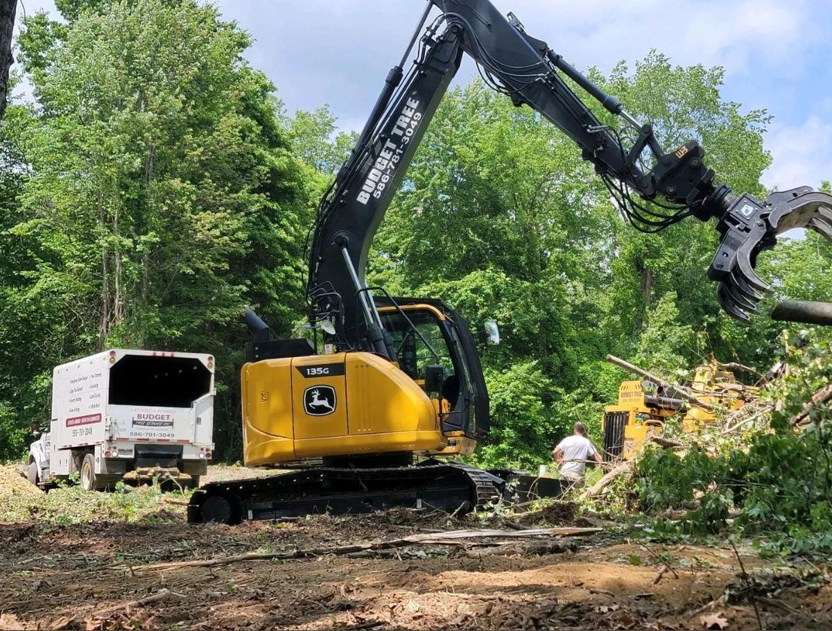 Budget Tree Service Image