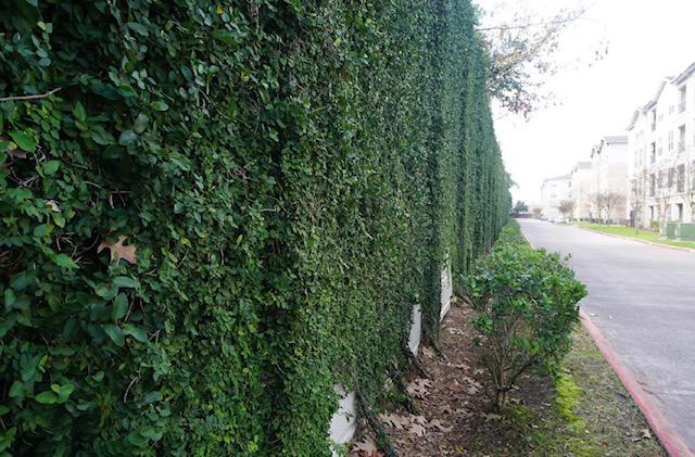 Images Sibrian Landscaping