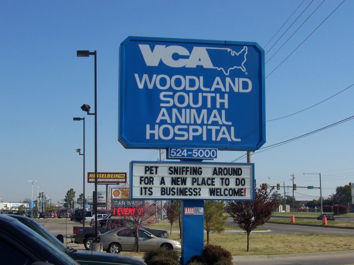 VCA Woodland South Animal Hospital Photo