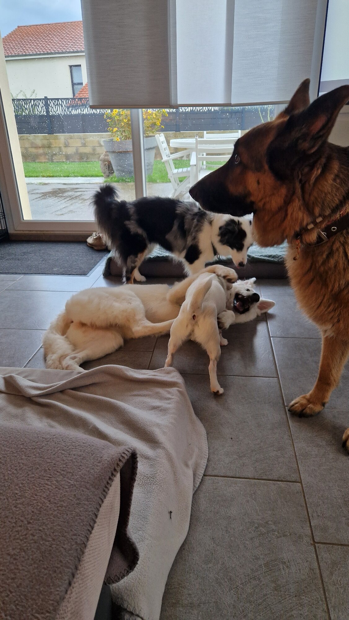 Miniature de la galerie