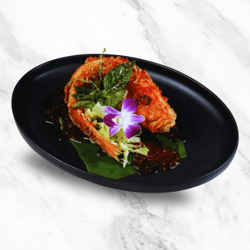 Golden Red Snapper