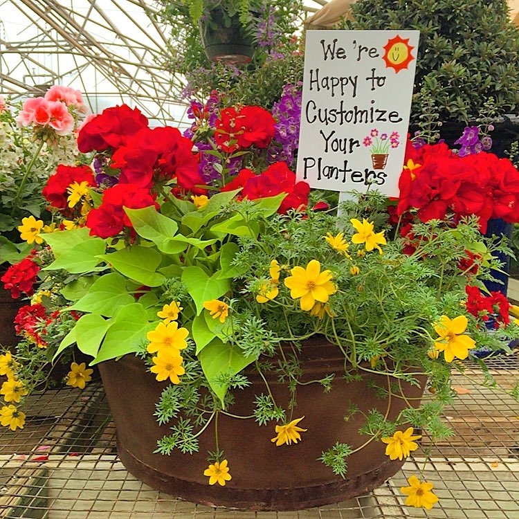 Trochta's Flowers and Garden Center Photo