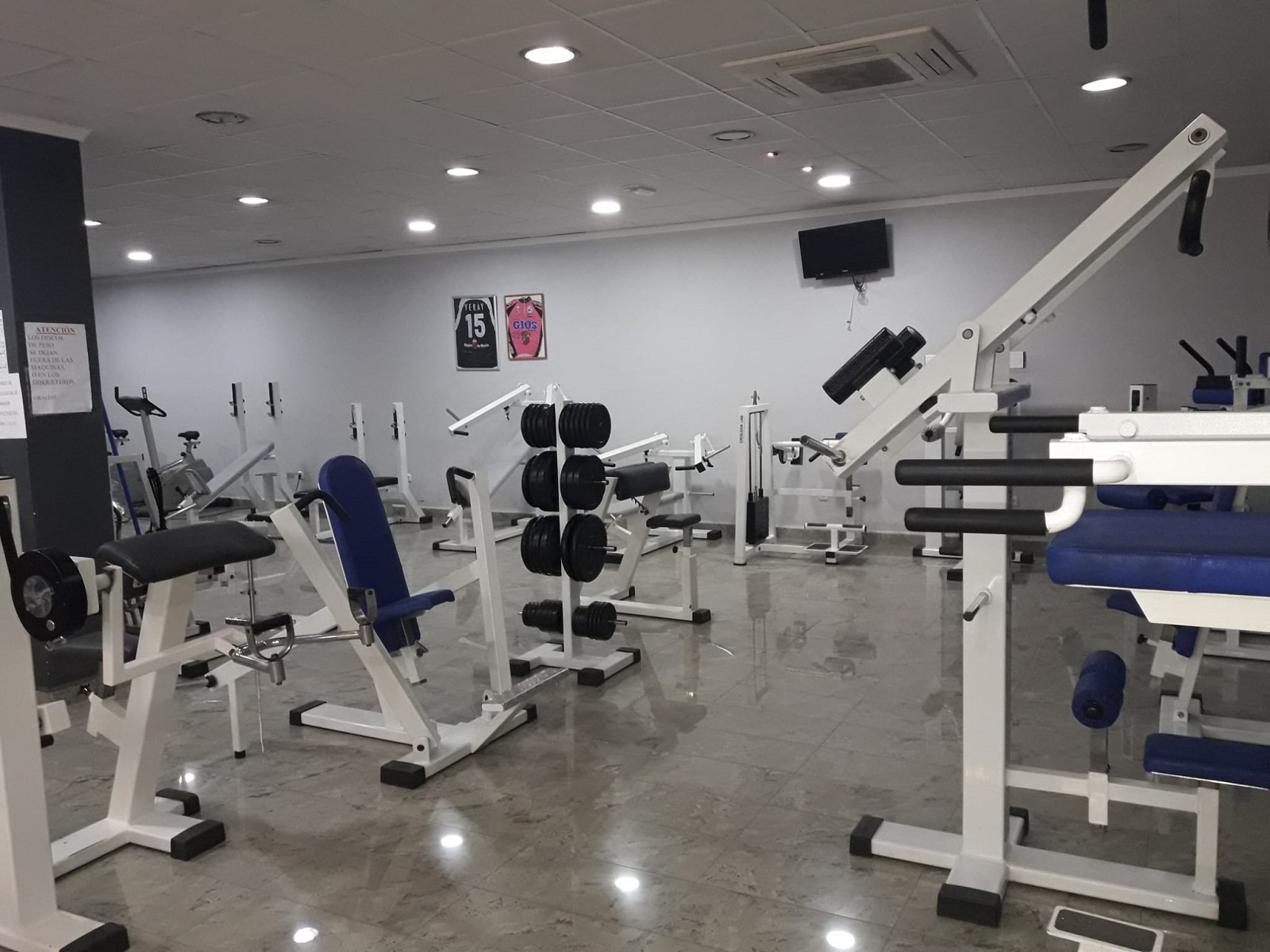 Galería en miniatura