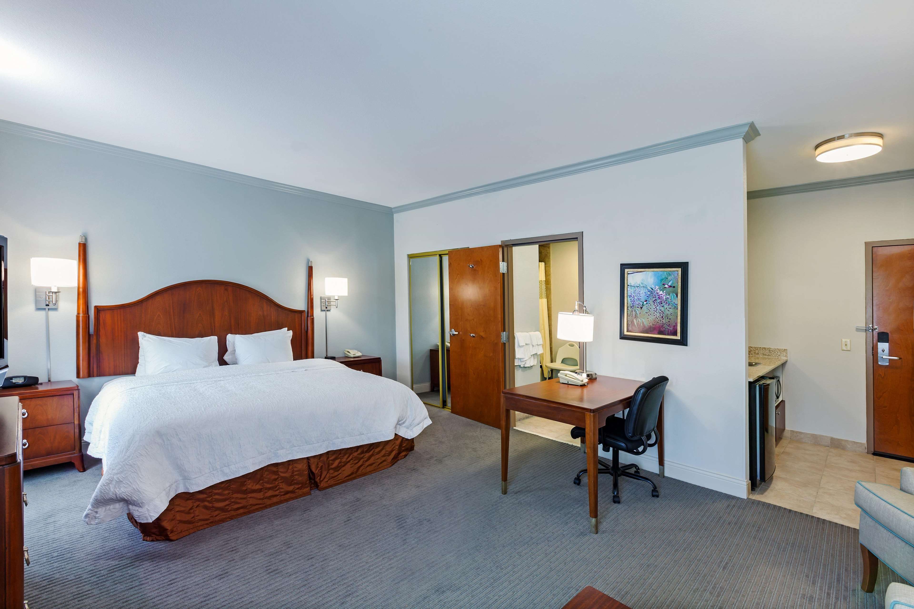 Hampton Inn & Suites Houston-Westchase Photo