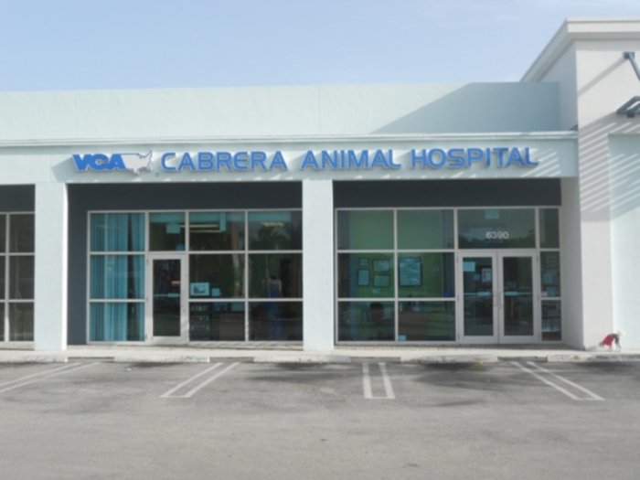 VCA Cabrera Animal Hospital Photo