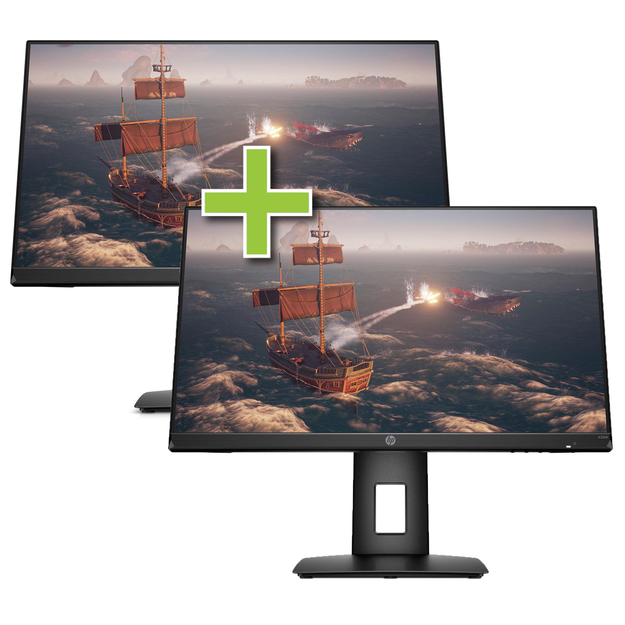 Two HP 24" Monitors