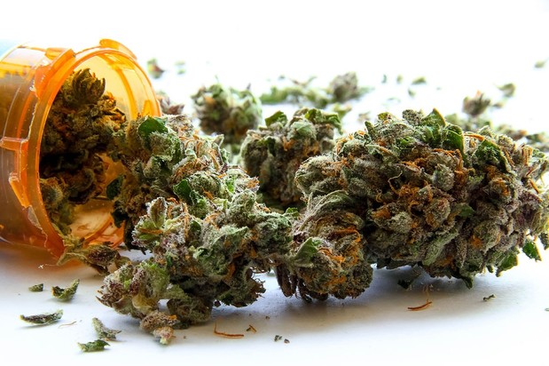 Images Treasure Tree Dispensary