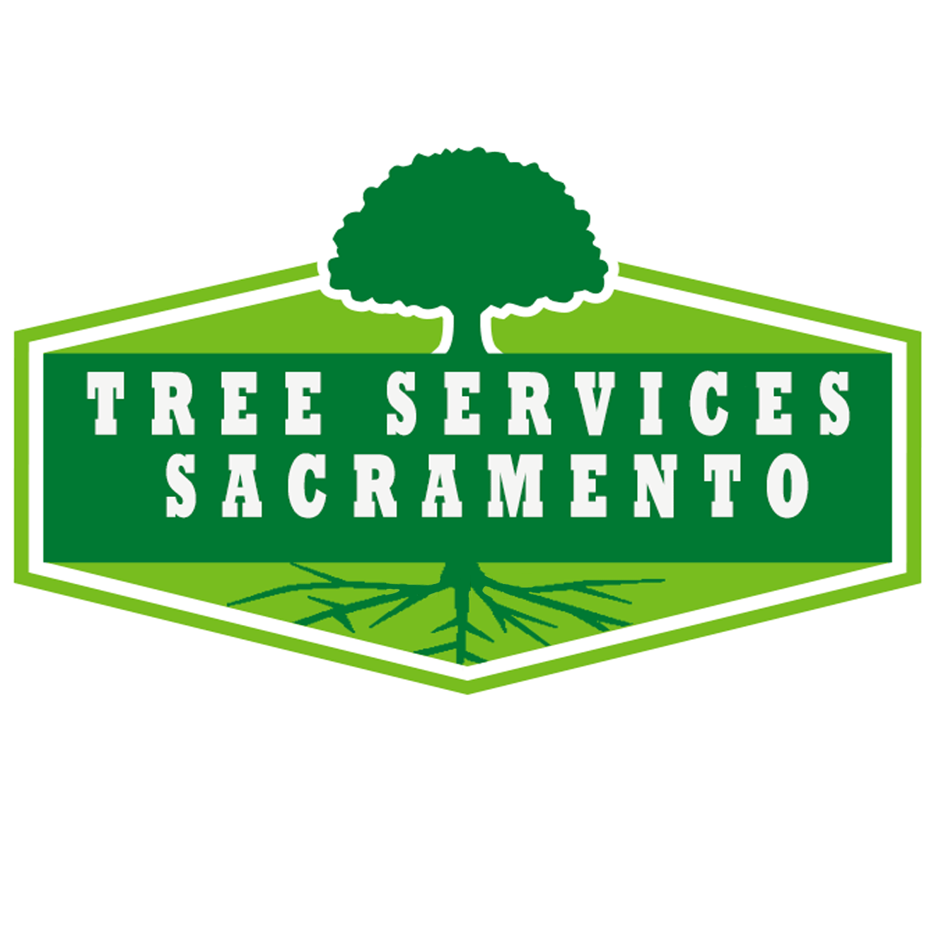 Tree Services Sacramento Photo