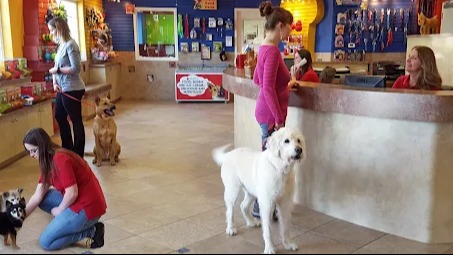 Top Notch Pet Resort