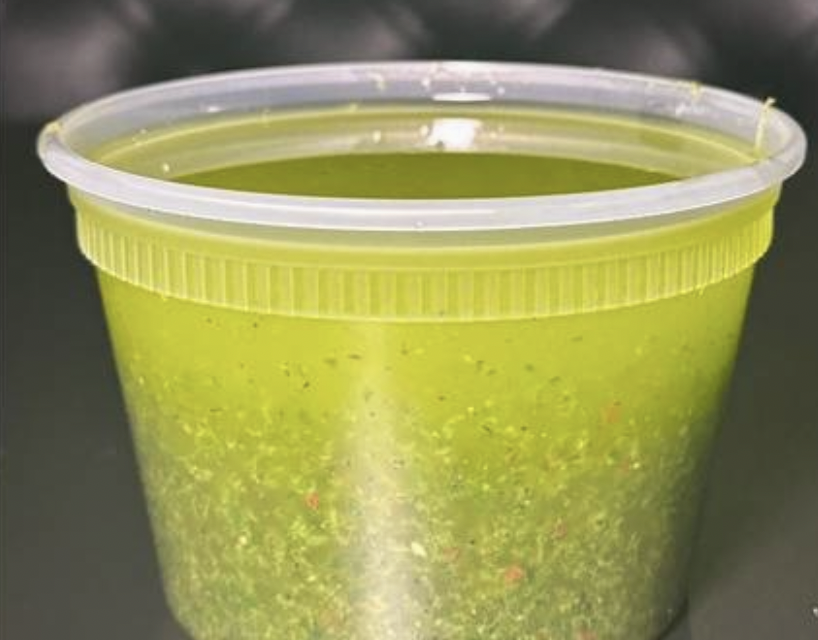 Pesto Oil (16oz)