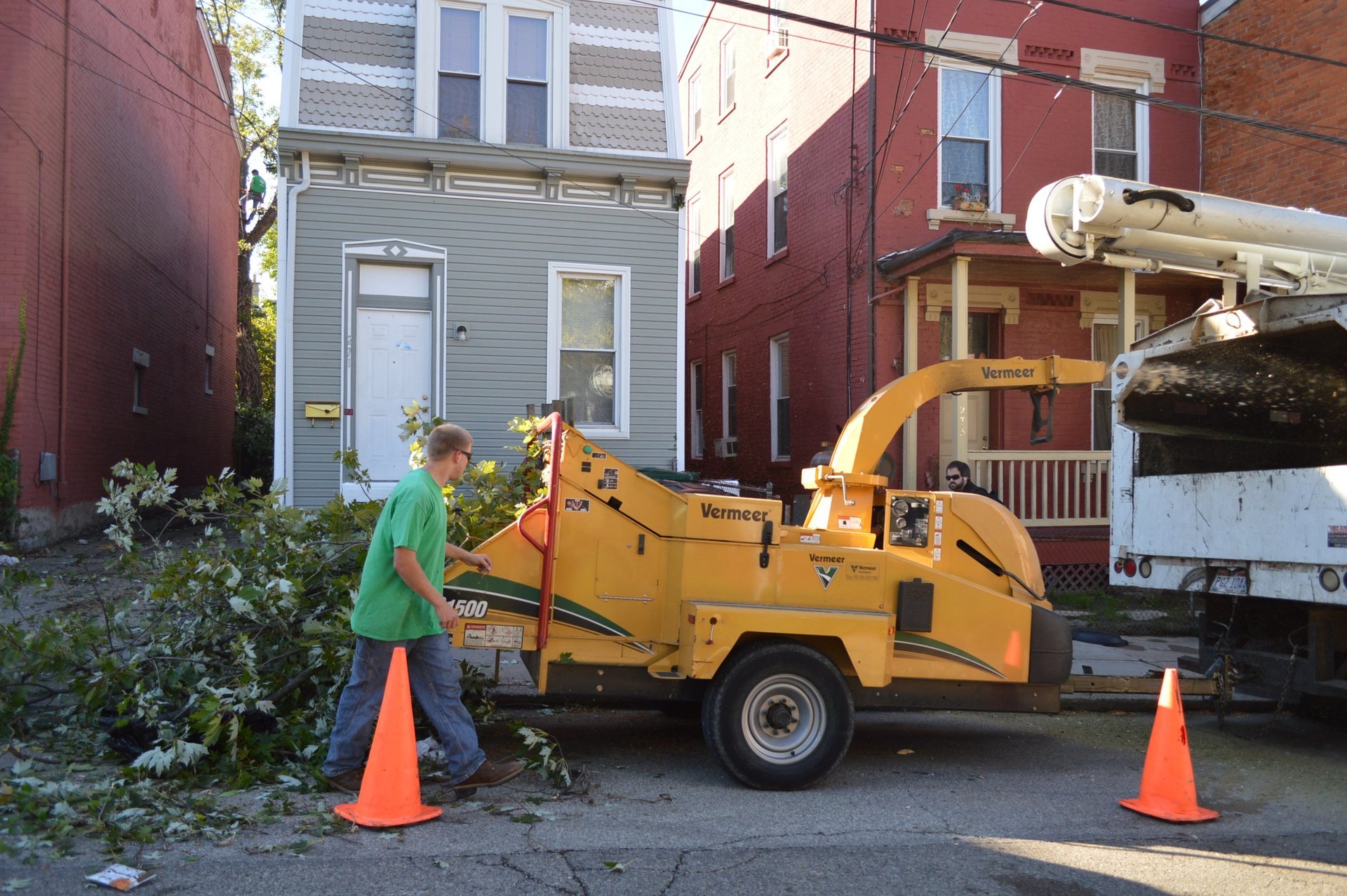 Peru's Tree Service Inc. Photo