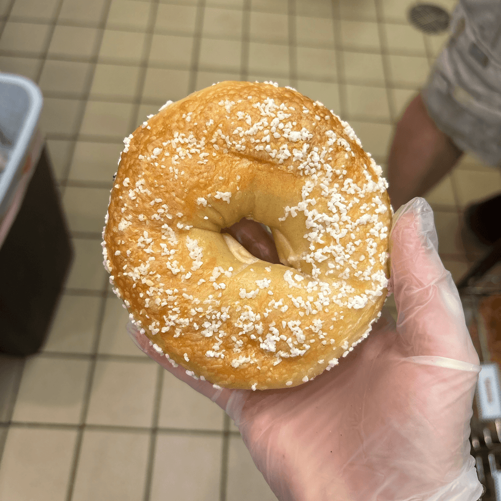 Salt Bagel