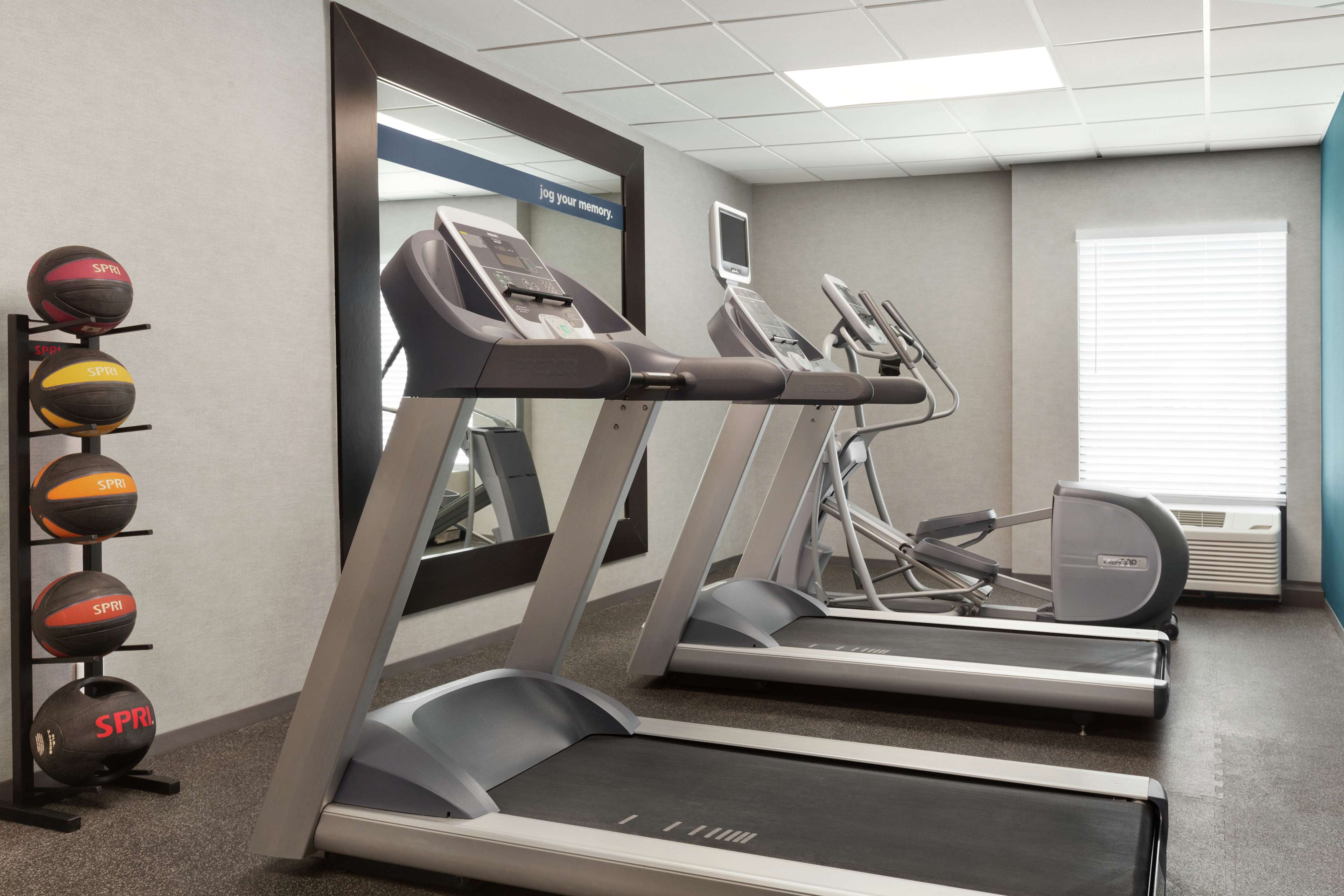 Health club  fitness center  gym