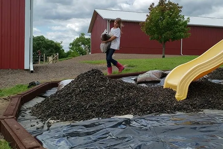 Backyard Bobby's Image