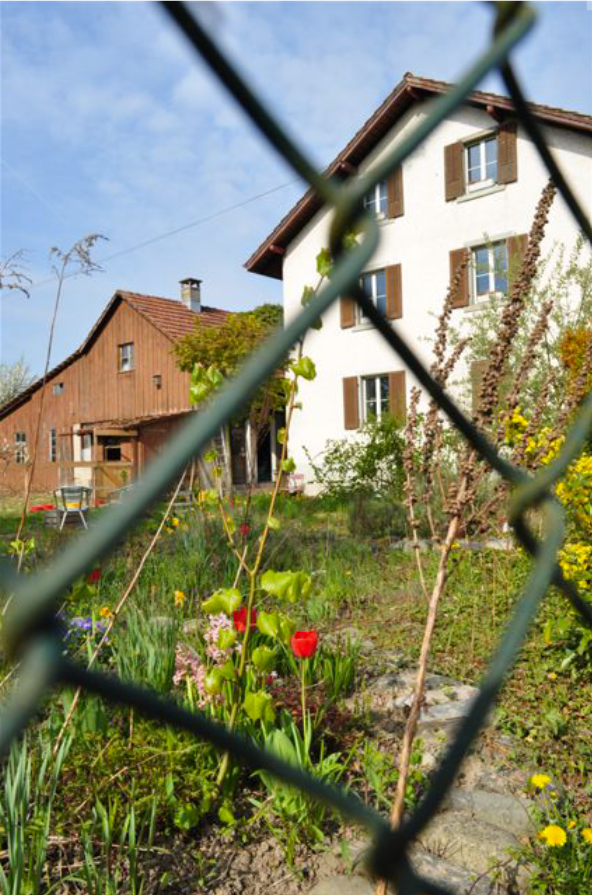 Galerie-Thumbnail