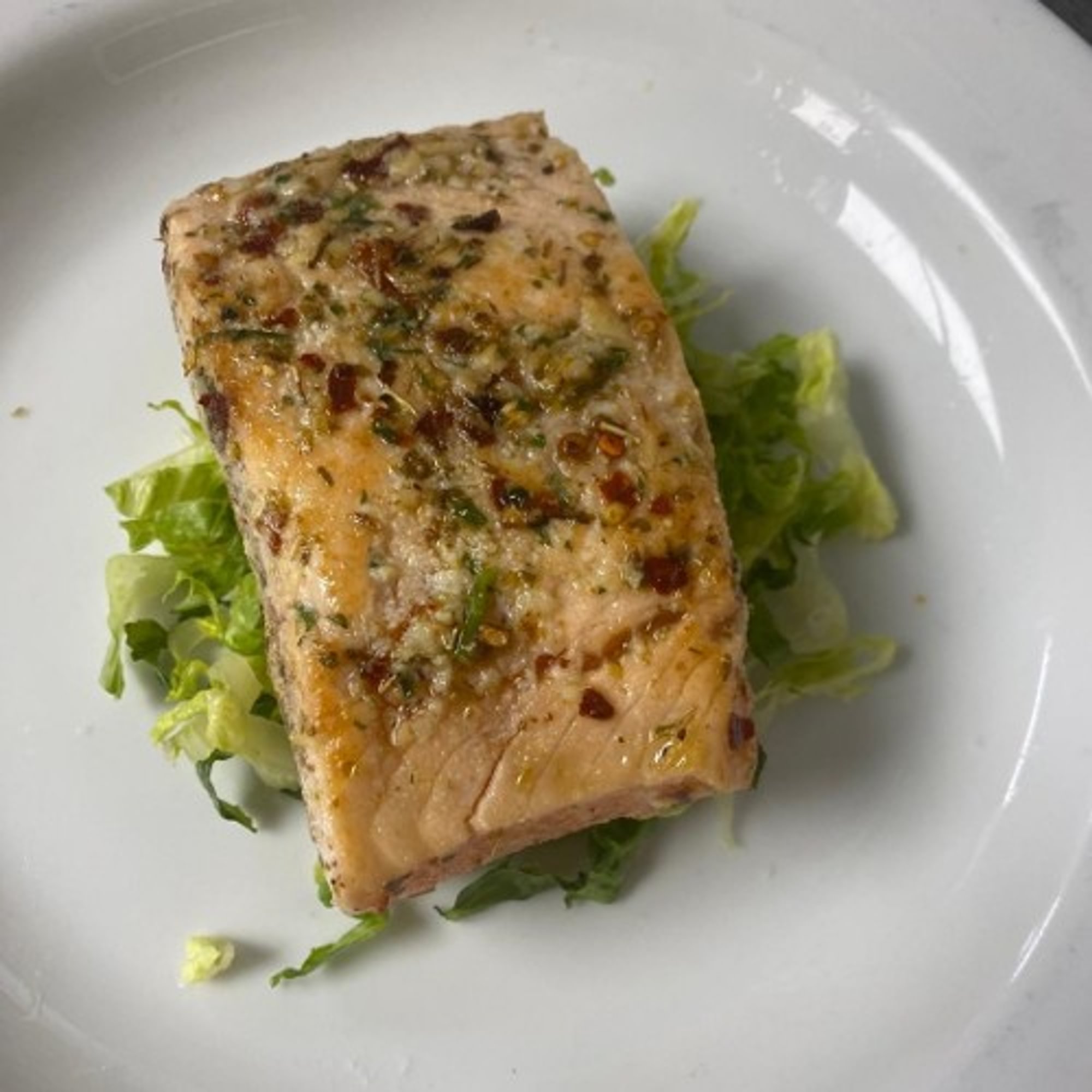 Salmon
