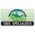 Maple's Tree Specialists Logo